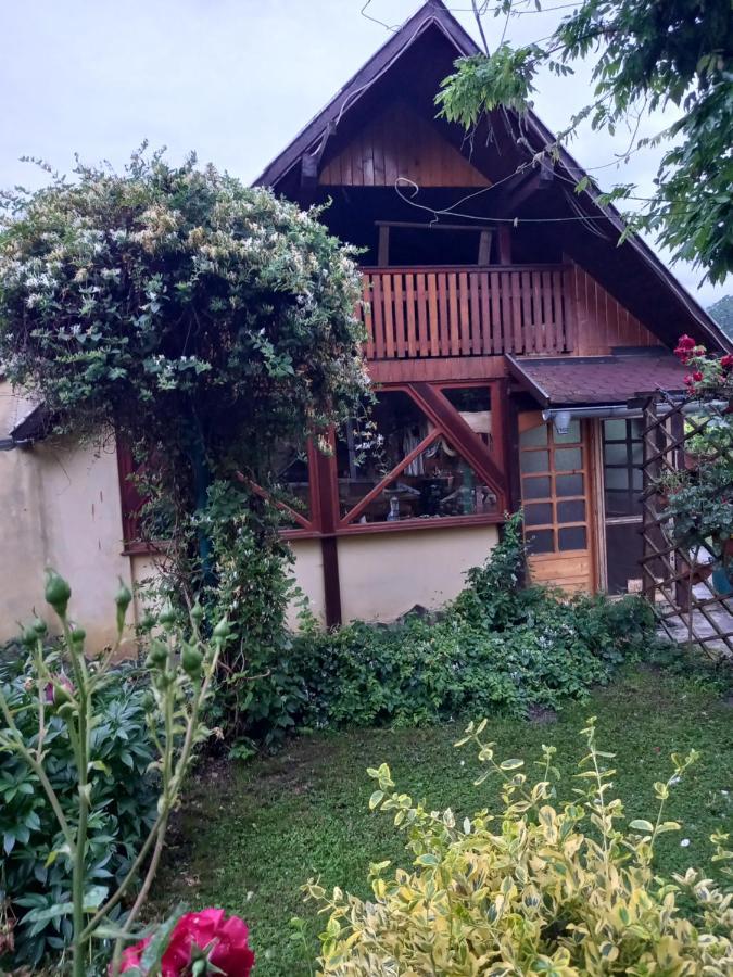 Casa Mihai Purcareni Luaran gambar