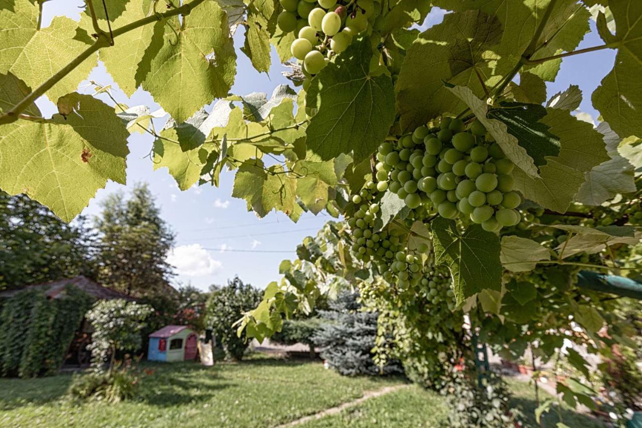 Casa Mihai Purcareni Luaran gambar