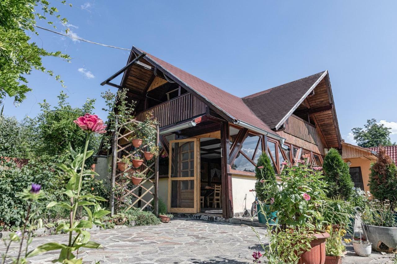 Casa Mihai Purcareni Luaran gambar